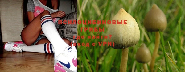 спайс Липки