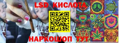 гашик Донской