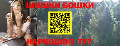 МДПВ Дубна
