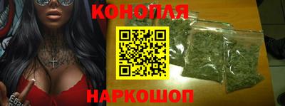 гашик Донской