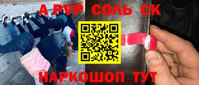 гашик Донской