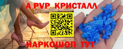 гашик Донской