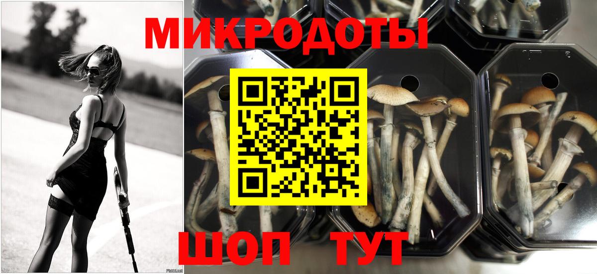 Псилоцибиновые грибы Psilocybe Реутов