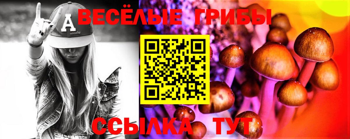 купить наркотик  Вход с VPN  Псилоцибиновые грибы Magic Shrooms  Реутов  Псилоцибиновые грибы Psilocybine cubensis 