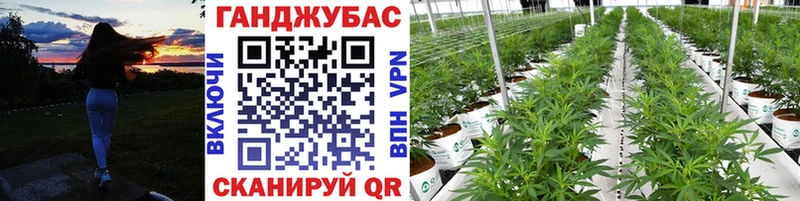 купить закладку Реутов Бошки Шишки ГИДРОПОН